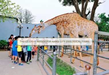 Thu Le Zoo Is Refuge For Hanoi City Zoological Tours