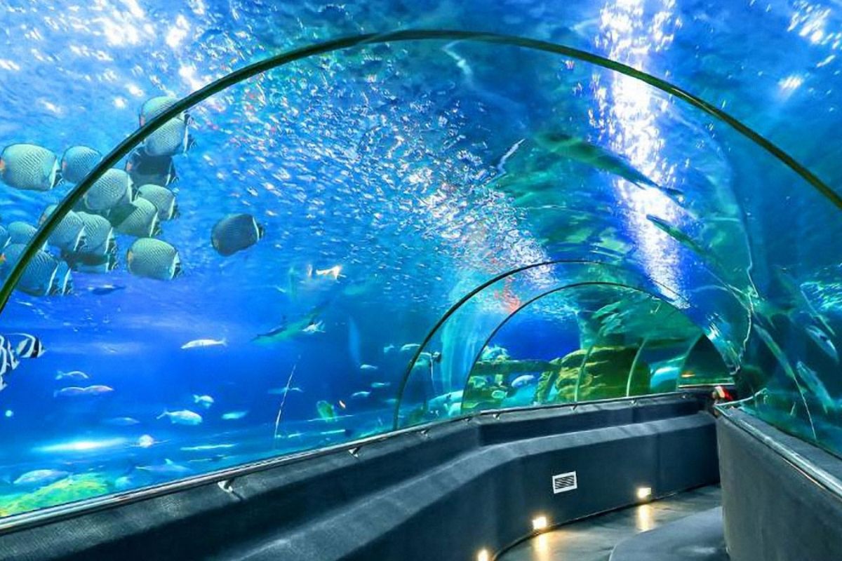 Aquarium For Ho Chi Minh Family Kid Tours