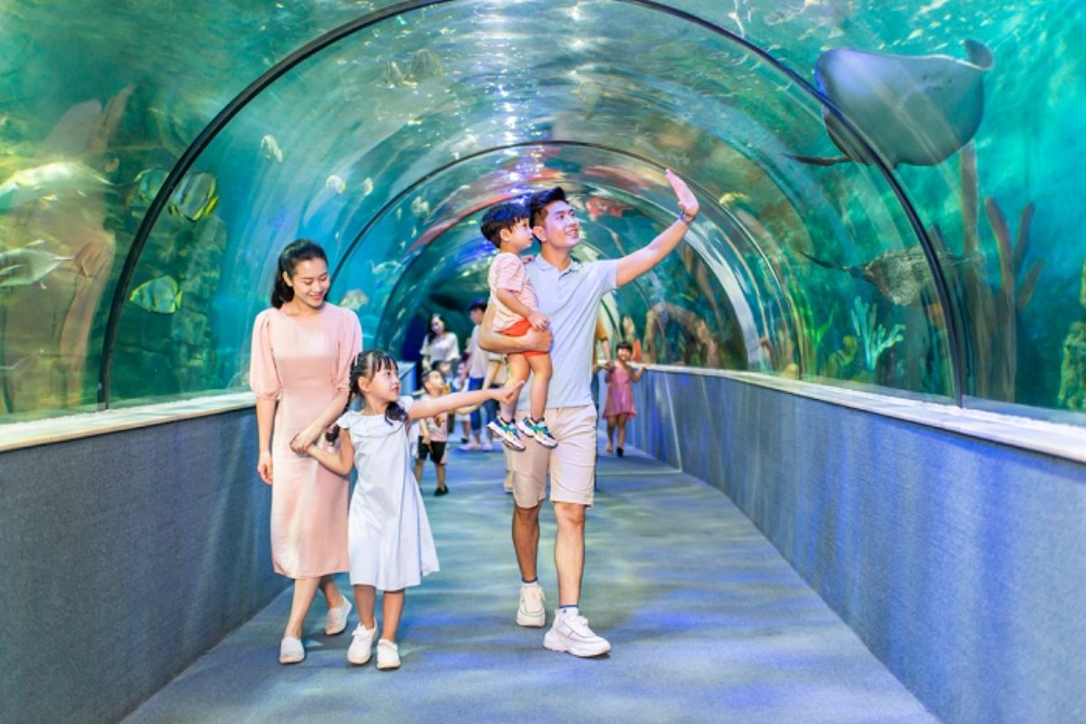 Thuy Cung Is Aquarium 