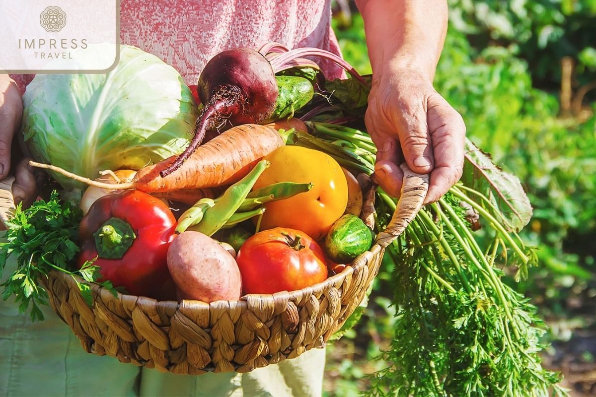 A Garden For Mu Cang Chai Vegetable Tours