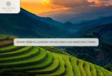 A Garden For Mu Cang Chai Vegetable Tours