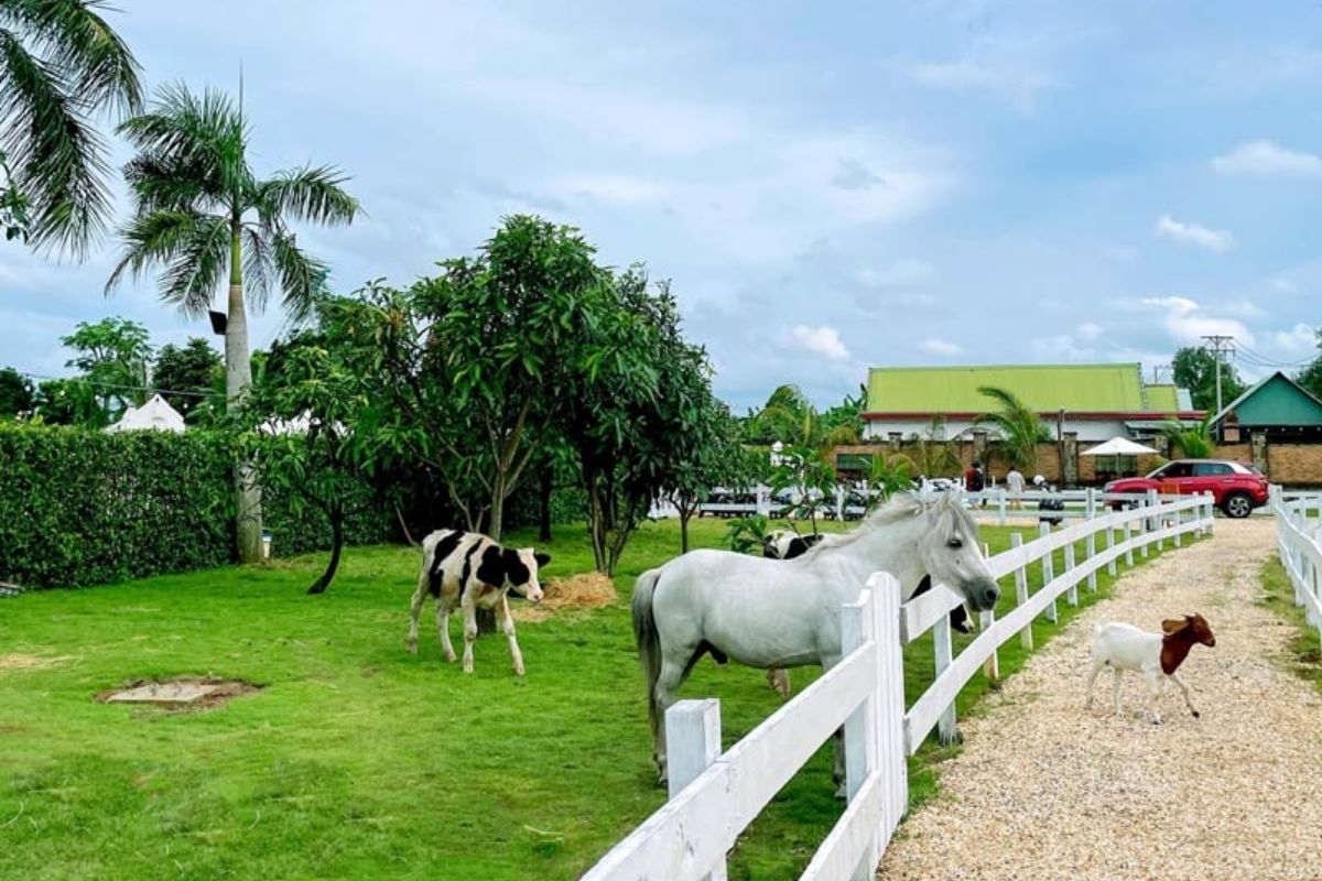 Experience the ultimate getaway for Ho Chi Minh Club Tours at Vietgangz Glamping