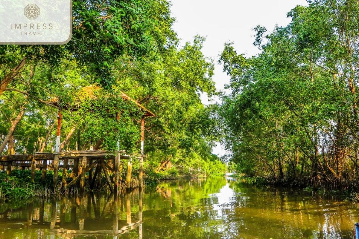 Pure nature in Can Tho Mekong Eco Boat Tours