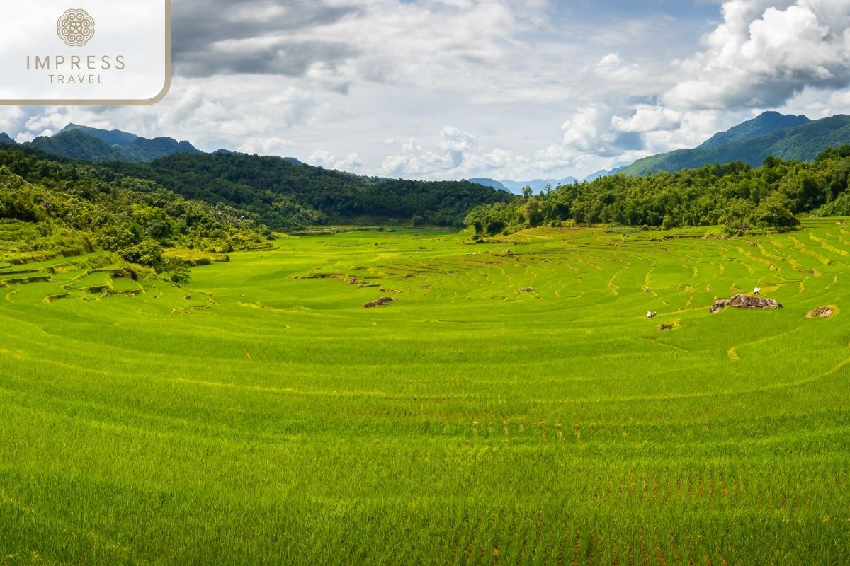 See terraced fields in Pu Luong Cafe tours