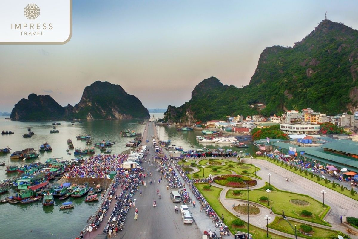 Hon Gai in Halong Coastal Tours