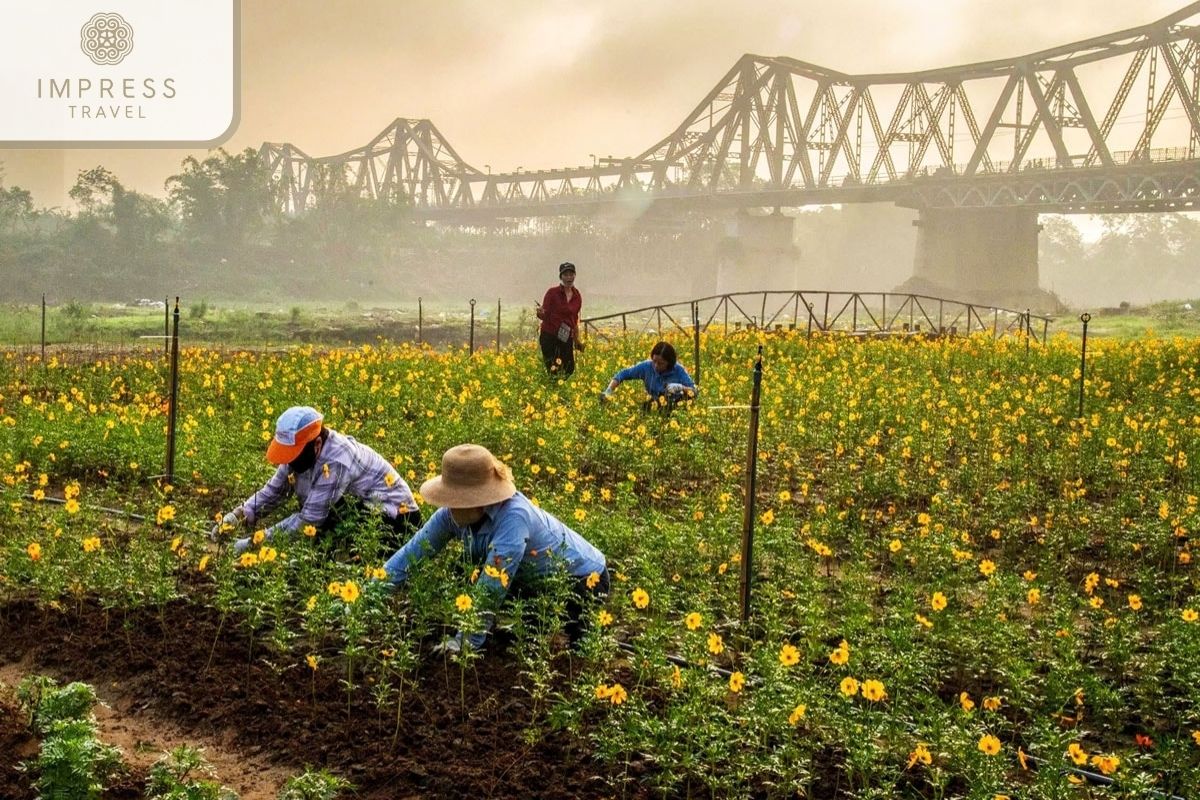 Phuc Xa Flower Wharf is bank river for Hanoi Photo tours 