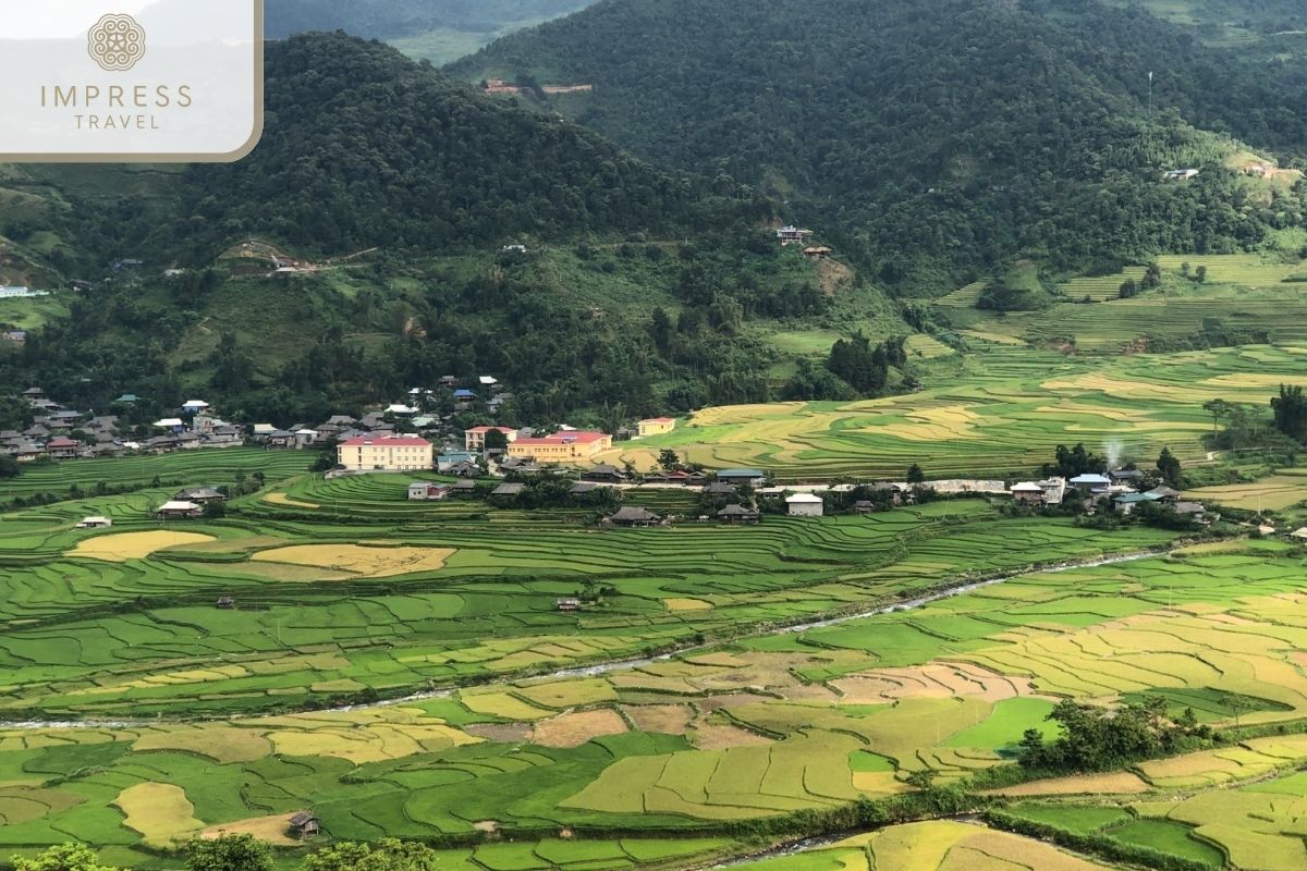 See terraced fields in Mu Cang Chai camping tours 