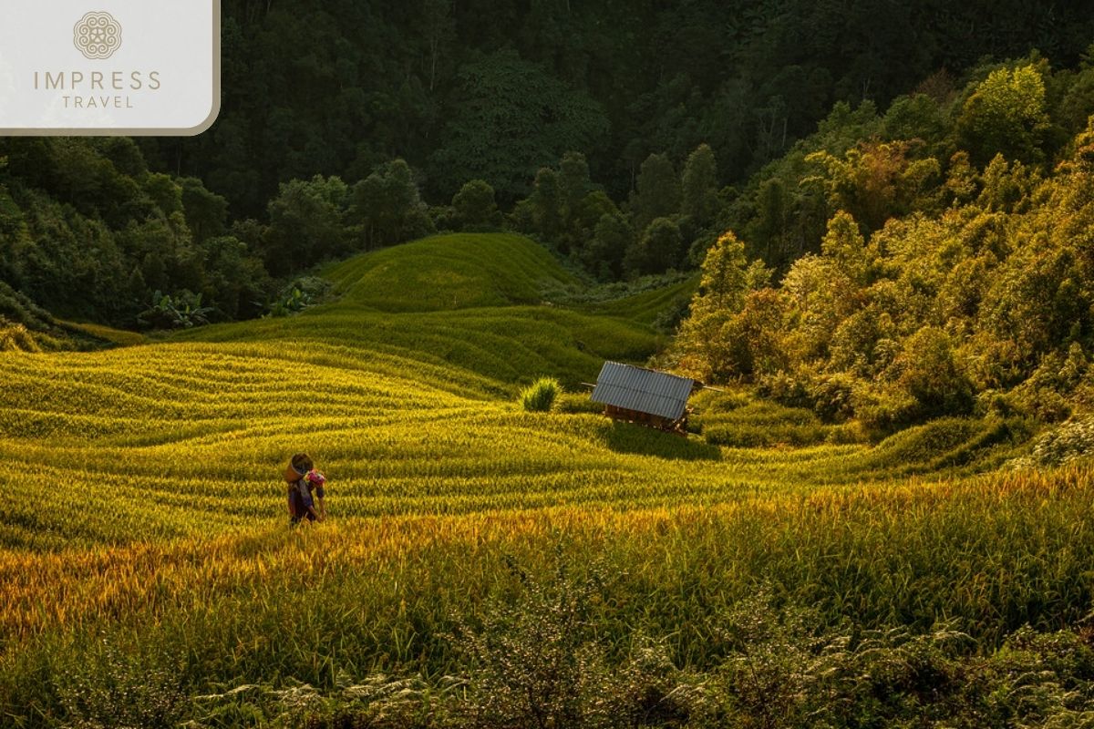 Lao Chai Village in Mu Cang Chai visible tours