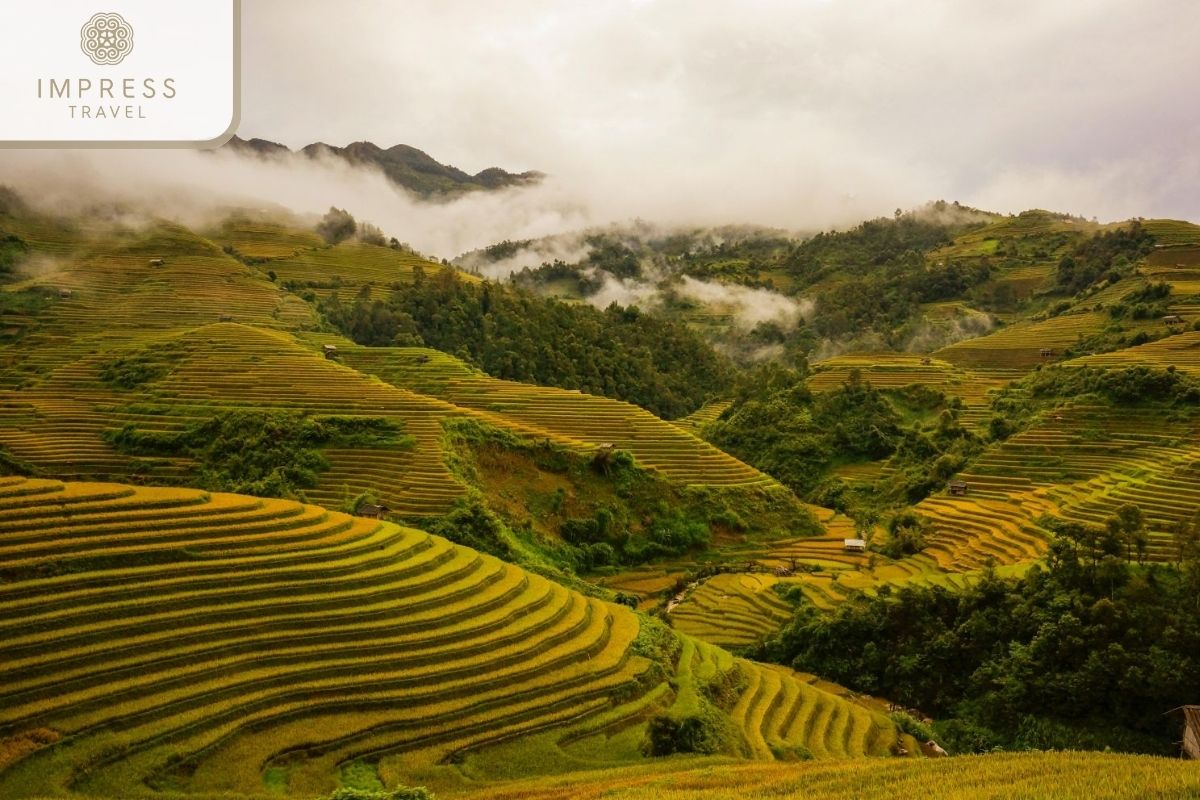 La Pan Tan in Mu Cang Chai Scenic Tours