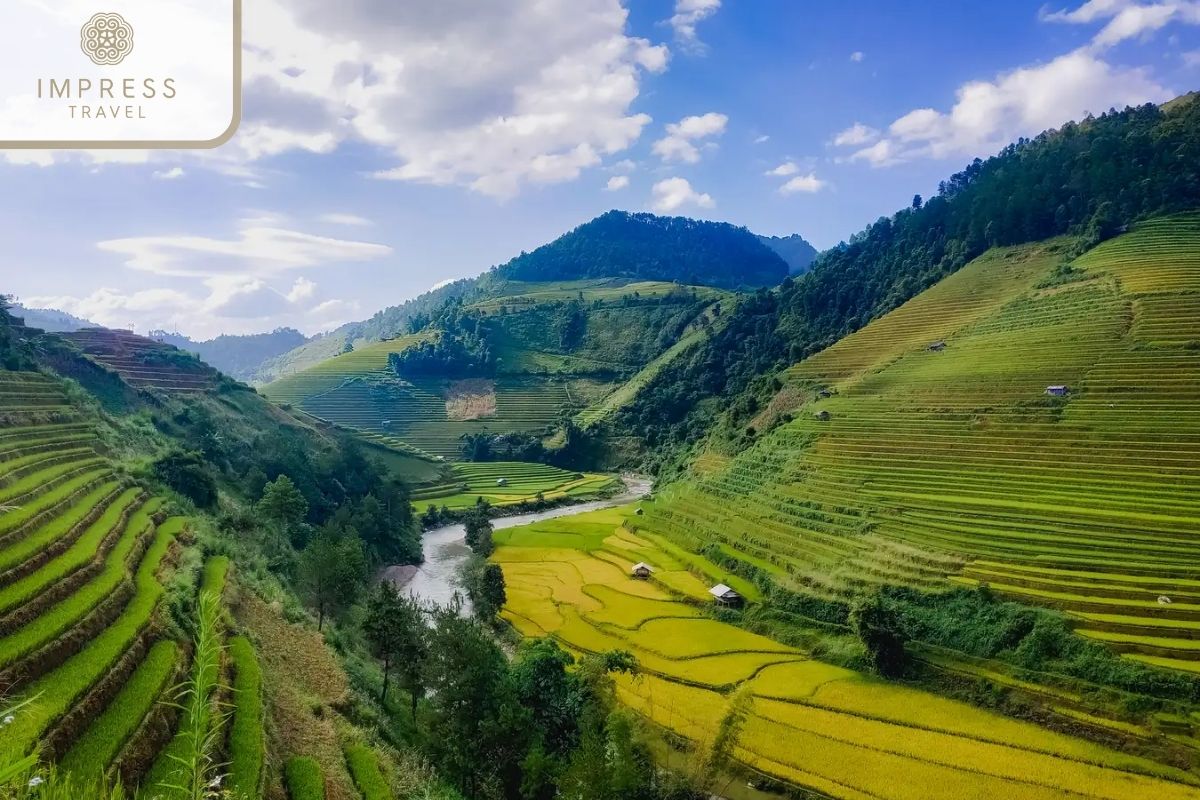 Mui Giay in Mu Cang Chai Scenic Tours