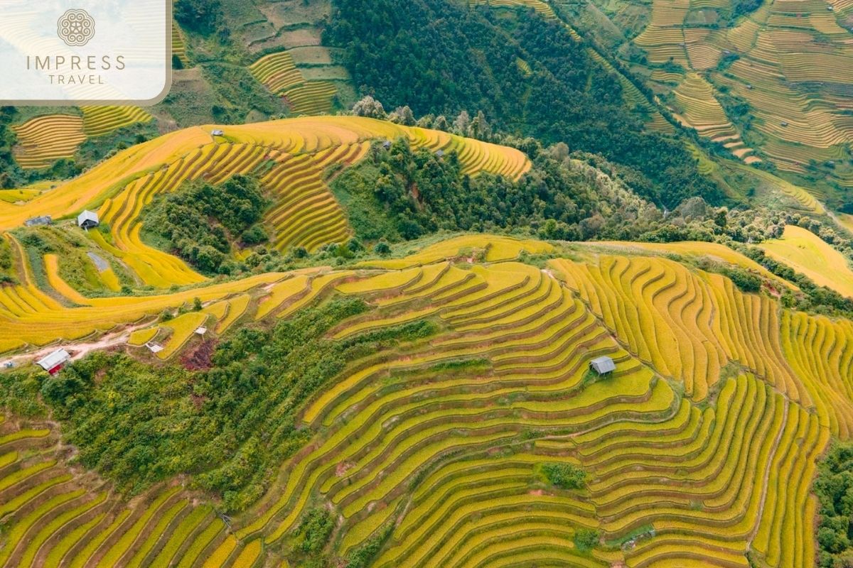 Majestic nature in Mu Cang Chai Scenic Tours