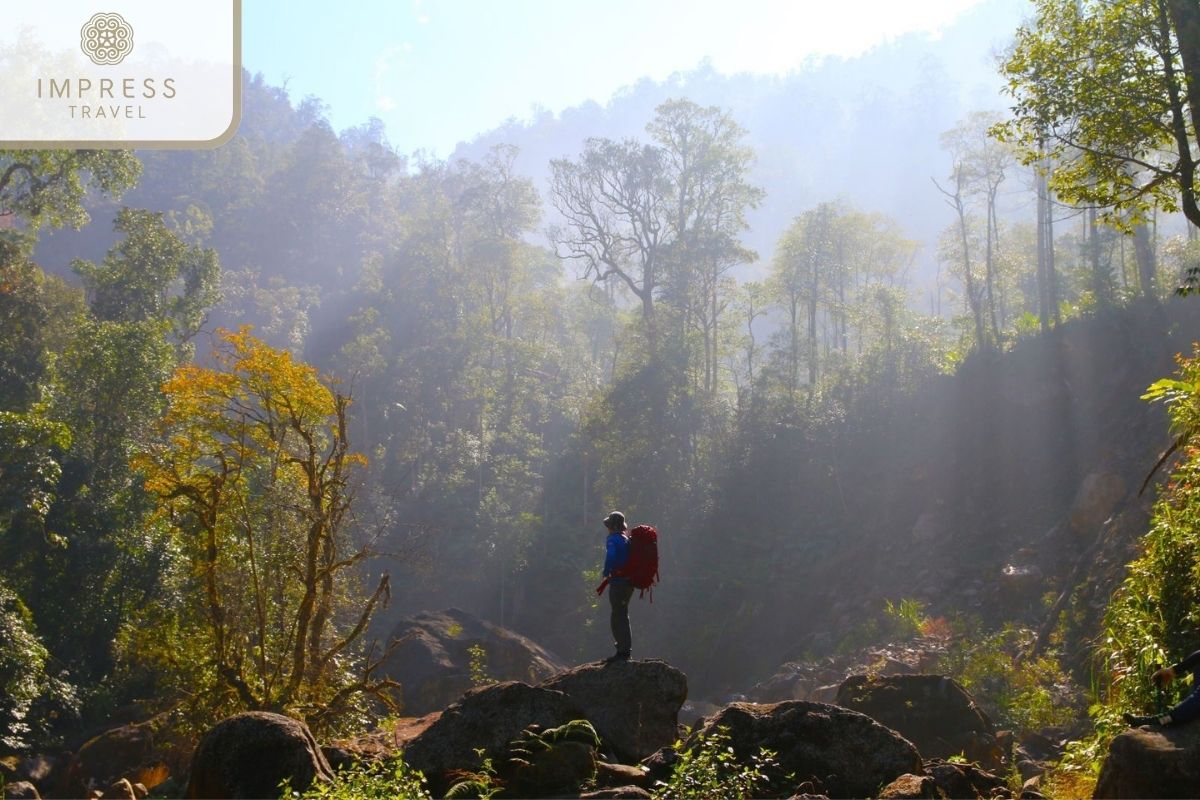 wild nature in Sapa Hiking Tours 