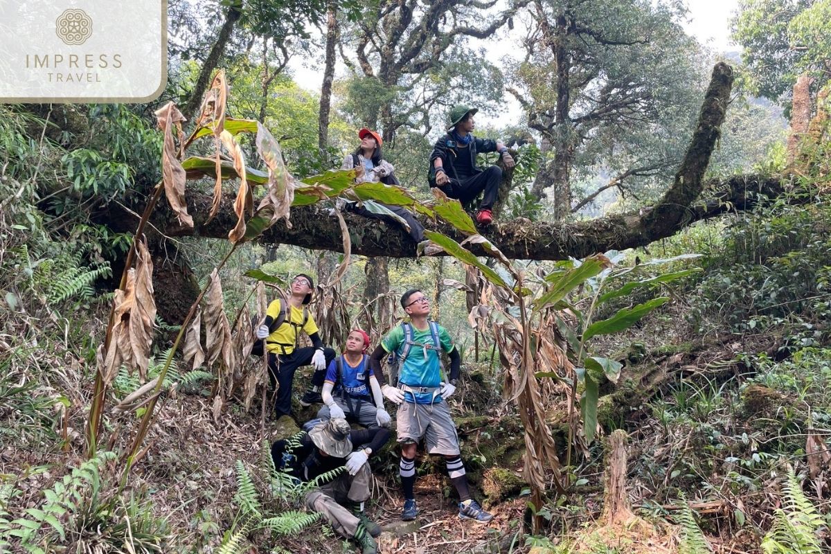 Trekking with friends in Sapa Hiking Tours