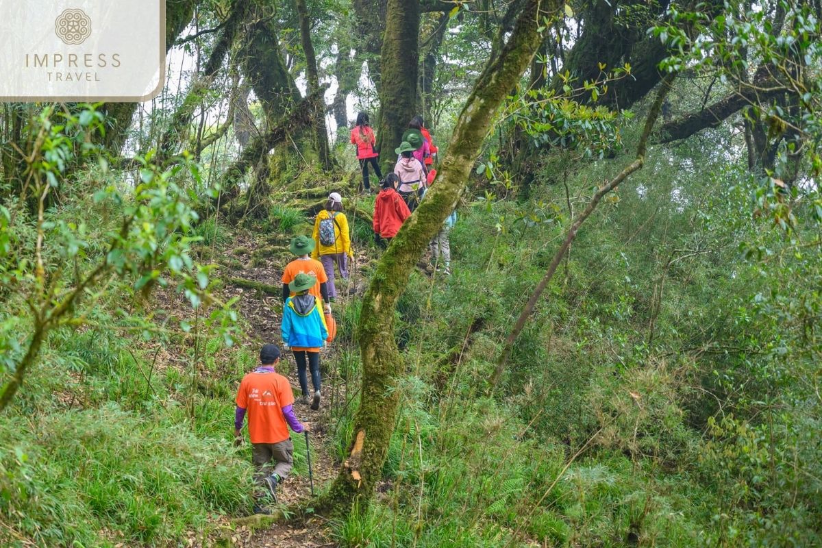 Trekking with friends