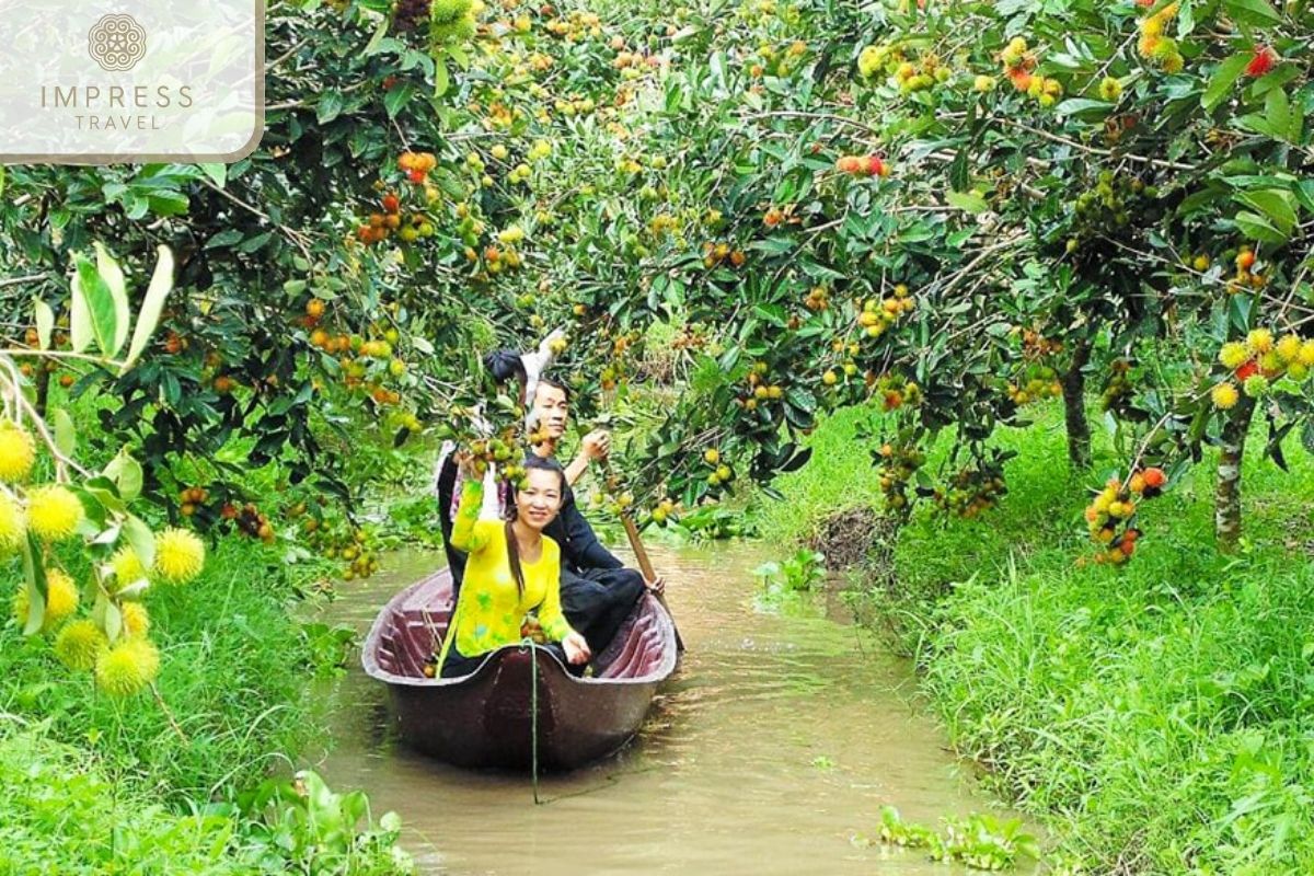 Visit the fruit garden in Mekong Social Tours