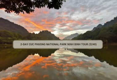 2-Day Cuc Phuong National Park Ninh Binh Tour ($240)