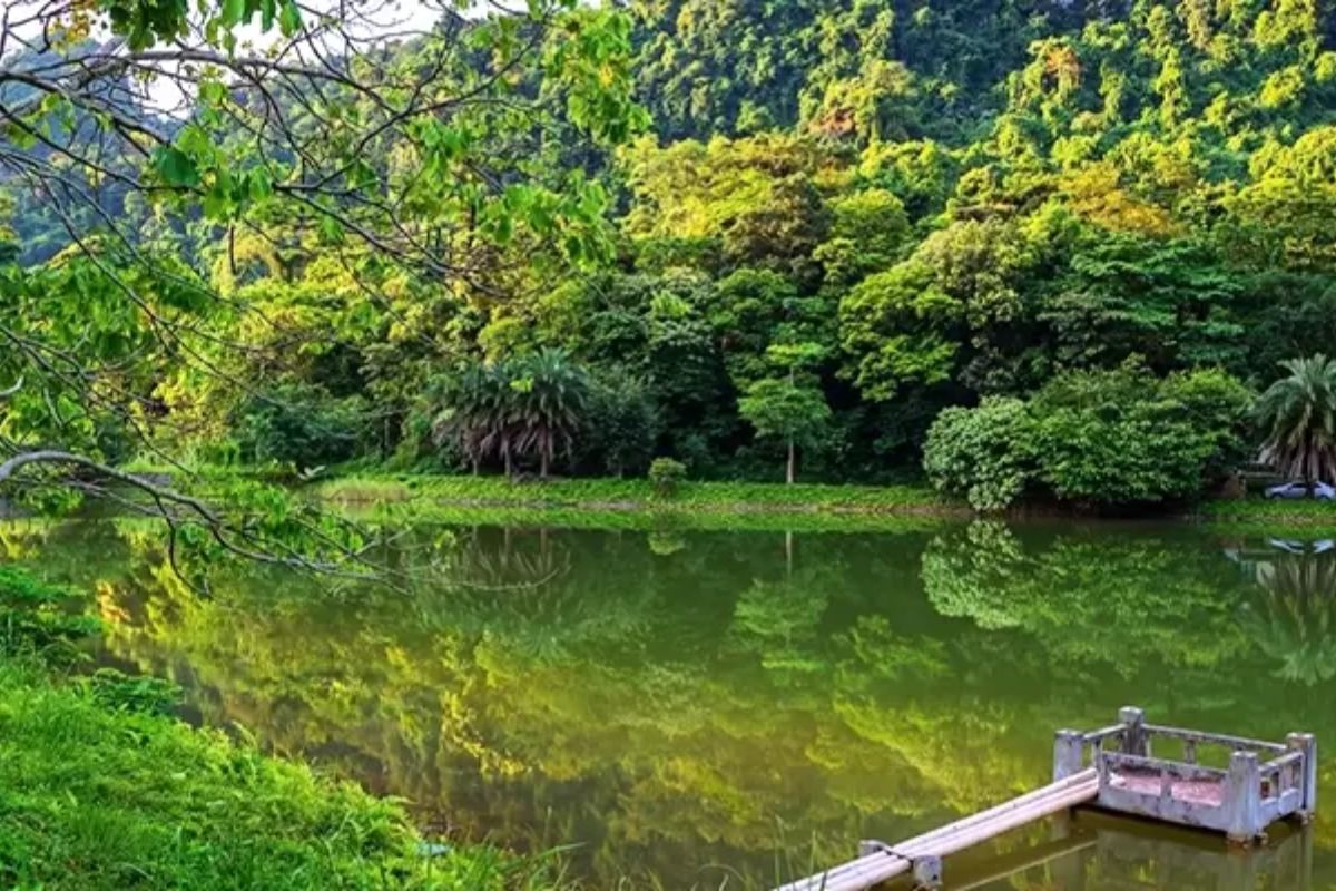 a journey into Vietnam’s lush rainforest, rare wildlife, and cultural gems in stunning Ninh Binh