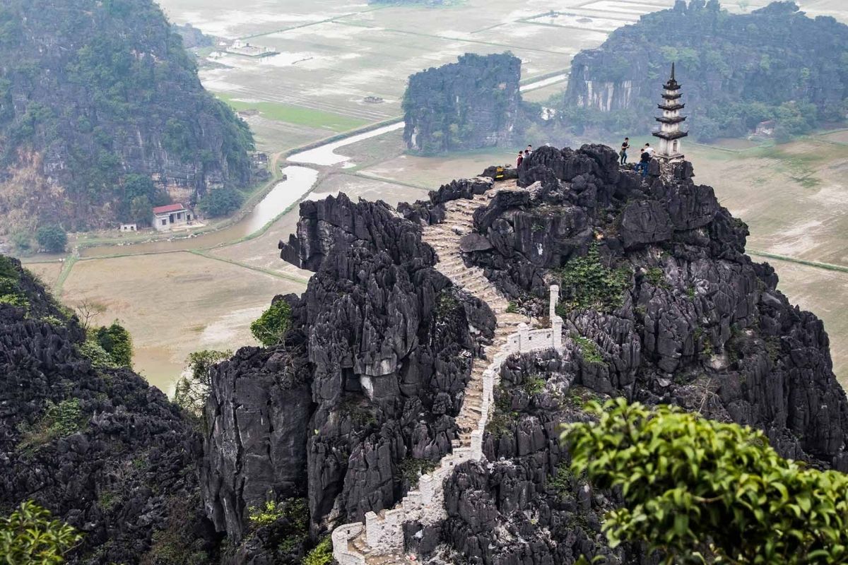 Cuc Phuong National Park Ninh Binh Tour