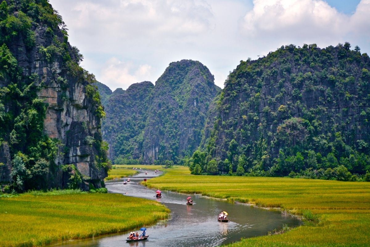 Discover the Cuc Phuong National Park Ninh Binh Tour