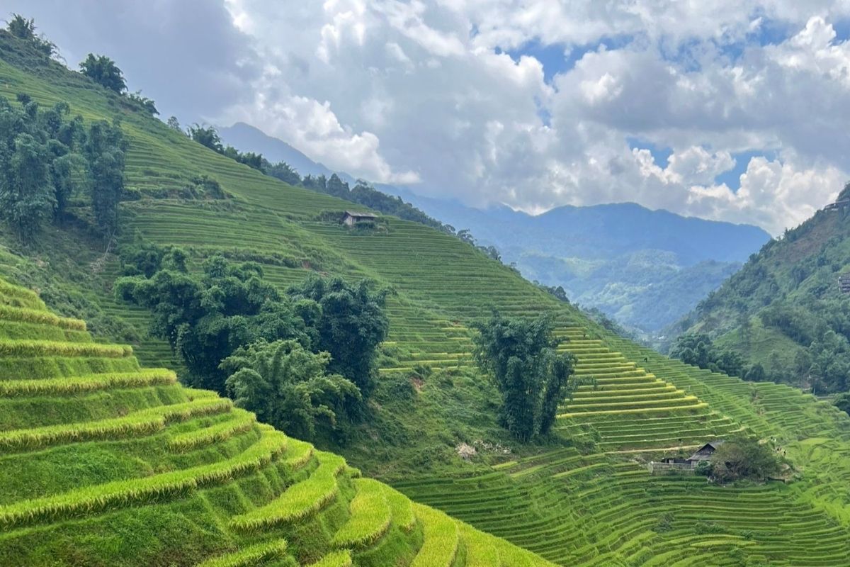 Discover the magic of Sapa with our Sapa tour trekking by bus