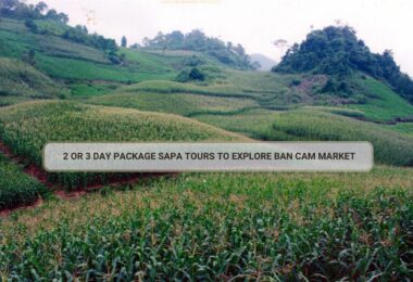 2 Or 3 Day Package Sapa Tours To Explore Ban Cam Market