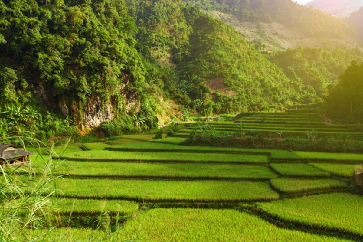 Discover serenity with a Mai Chau Tour at Luxury Avana Retreat