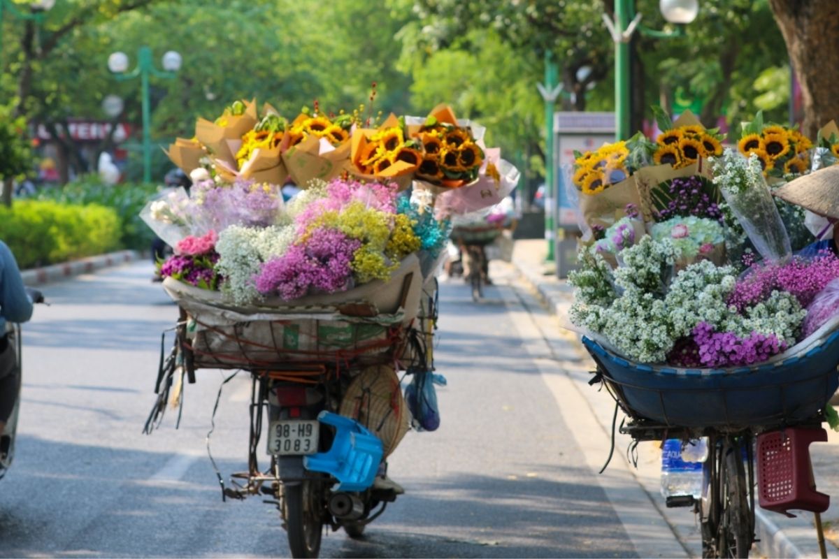 3-Day Hanoi To Hoang Su Phi Ha Giang Trek Tour ($287) 