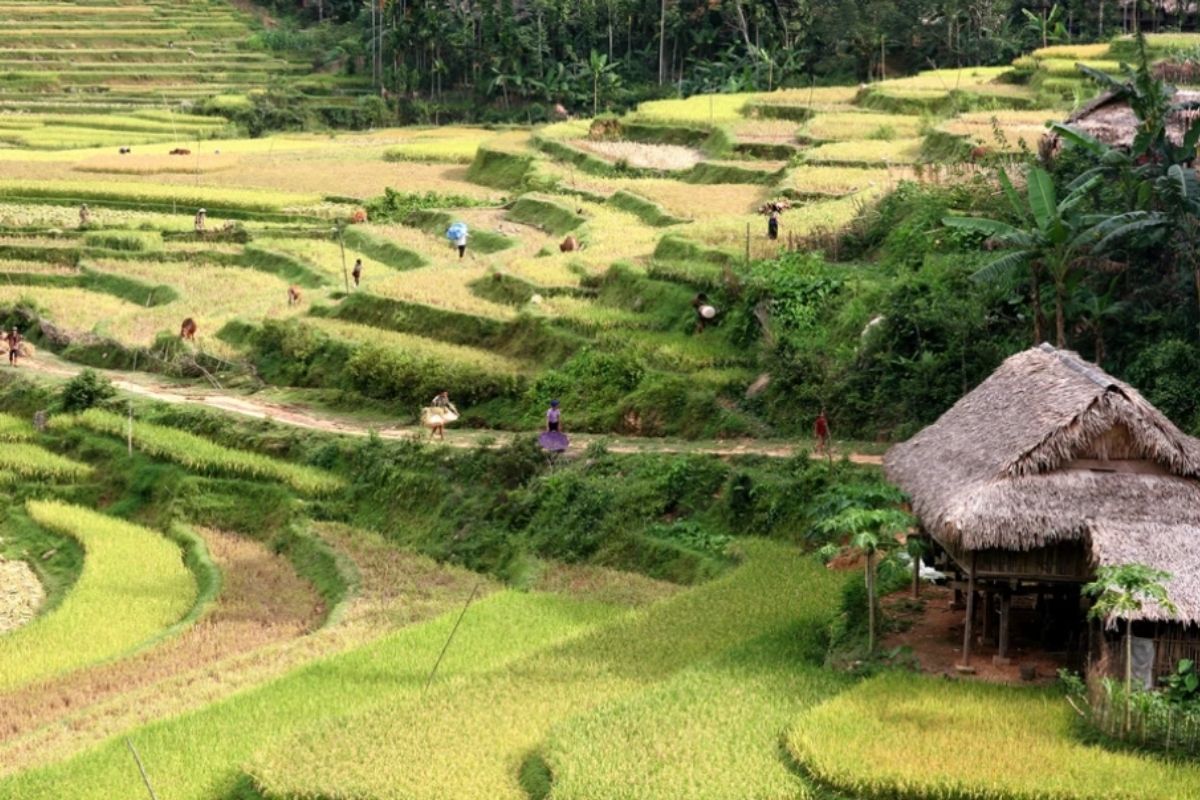 Discover the beauty of Vietnam with our 3-day Pu Luong Tour Package