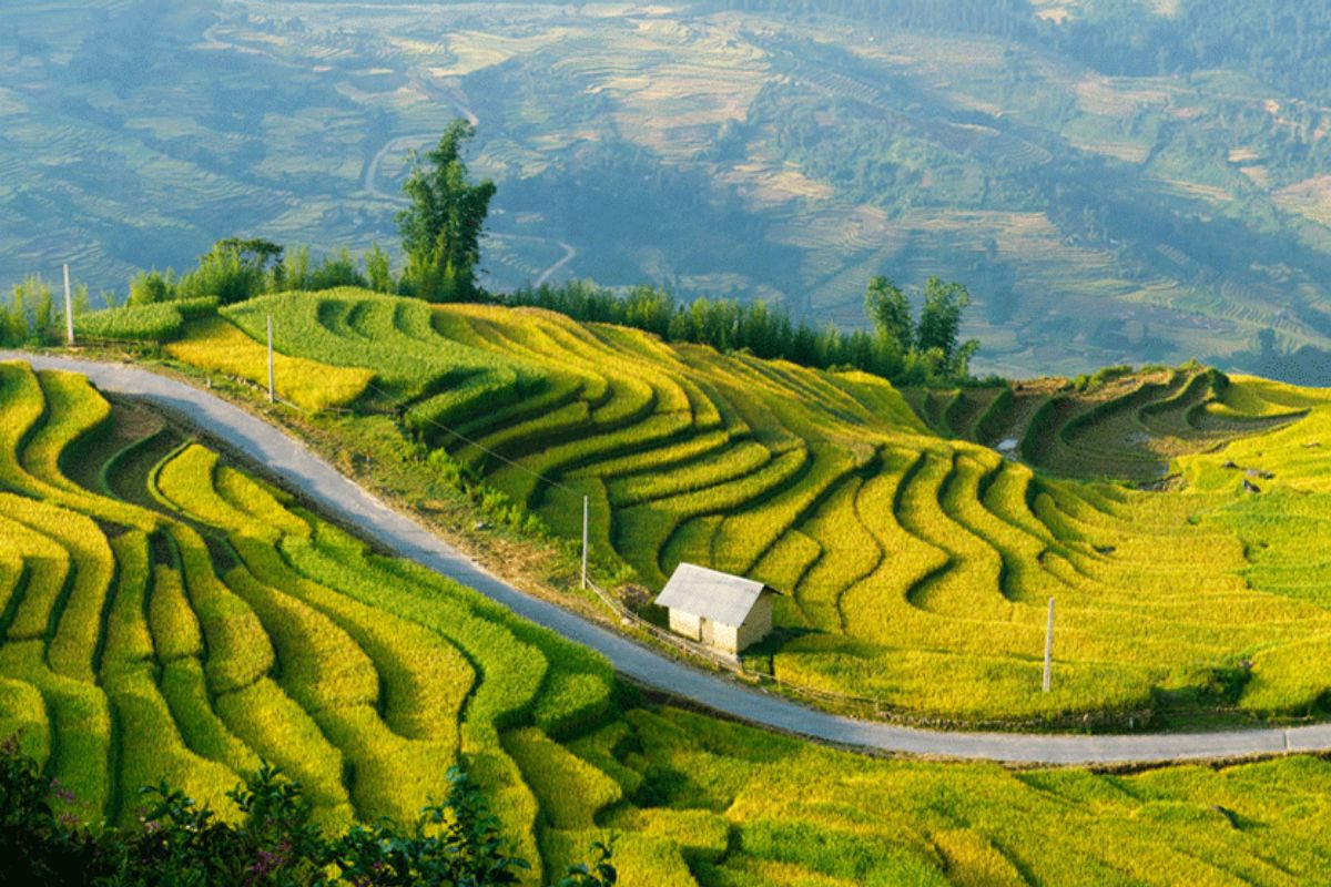 Explore breathtaking landscapes and cultural treasures with our Tram Tau And Mu Cang Chai Tour