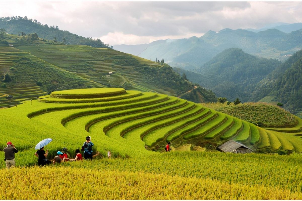 4-day Hanoi - Muong Lo - Mu Cang Chai tour 