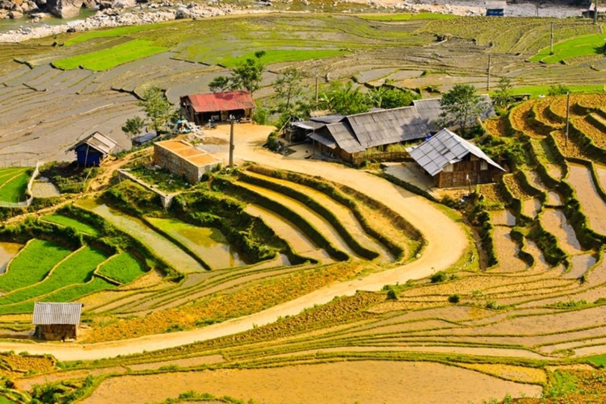  Discover the magic of the Mu Cang Chai Tour Plus Sapa Bac Ha Sunday Market