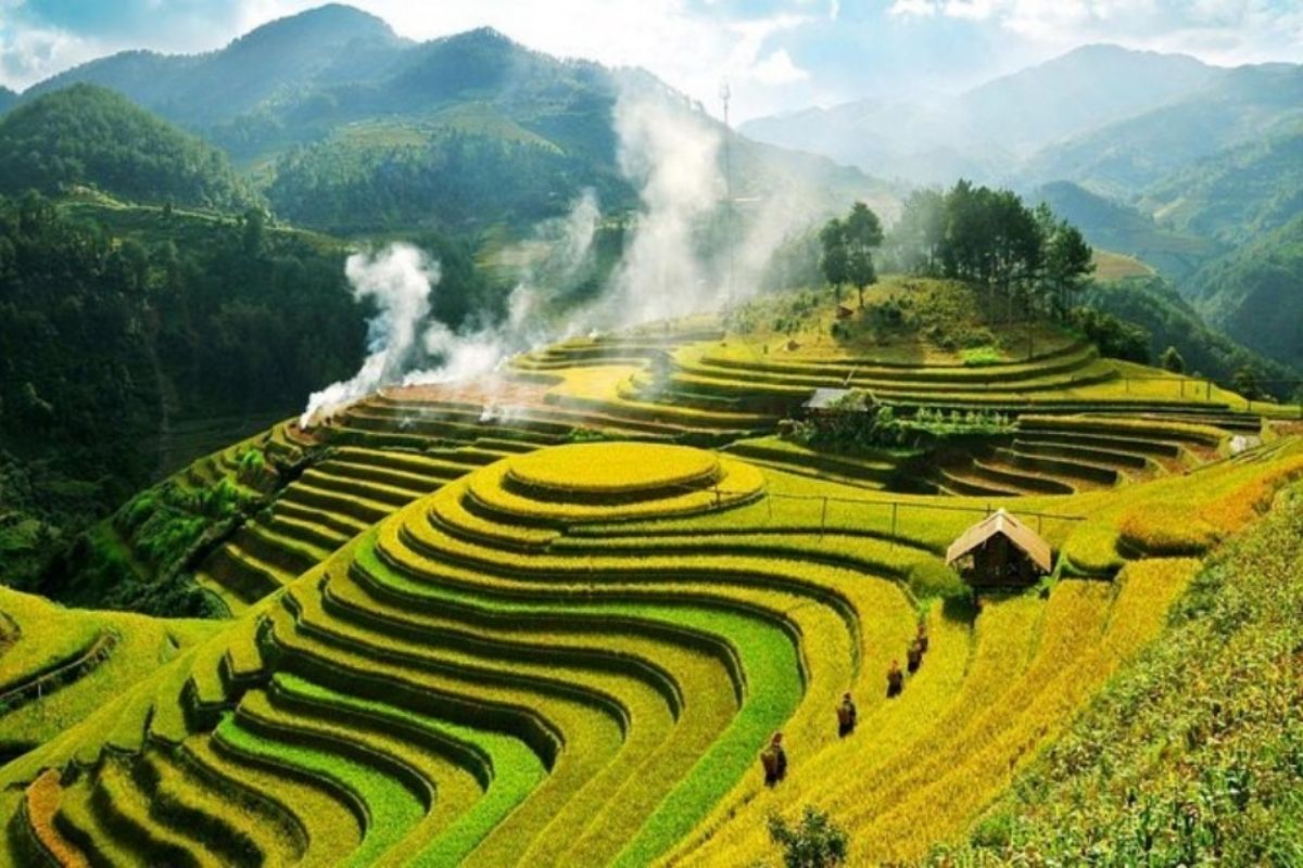 5-Day Mu Cang Chai Tour Plus Sapa Bac Ha Sunday Market 