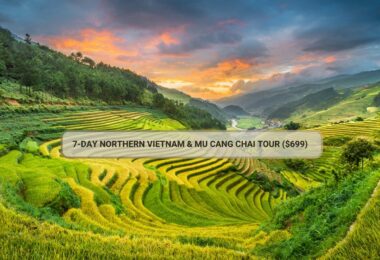 7-Day Northern Vietnam & Mu Cang Chai Tour ($699)