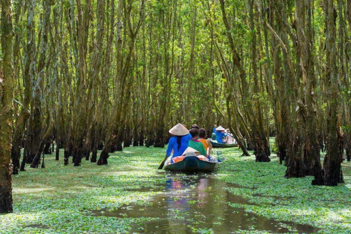 serene deltas, historic sites, and idyllic beaches in an unforgettable Vietnam journey! 