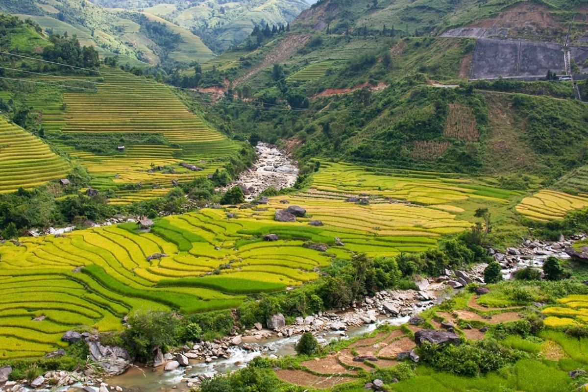 Embark on a breathtaking Hanoi to Sapa tour from Ho Chi Minh City