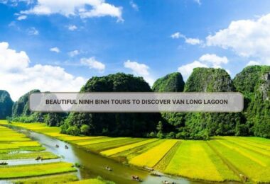 Beautiful Ninh Binh Tours To Discover Van Long Lagoon