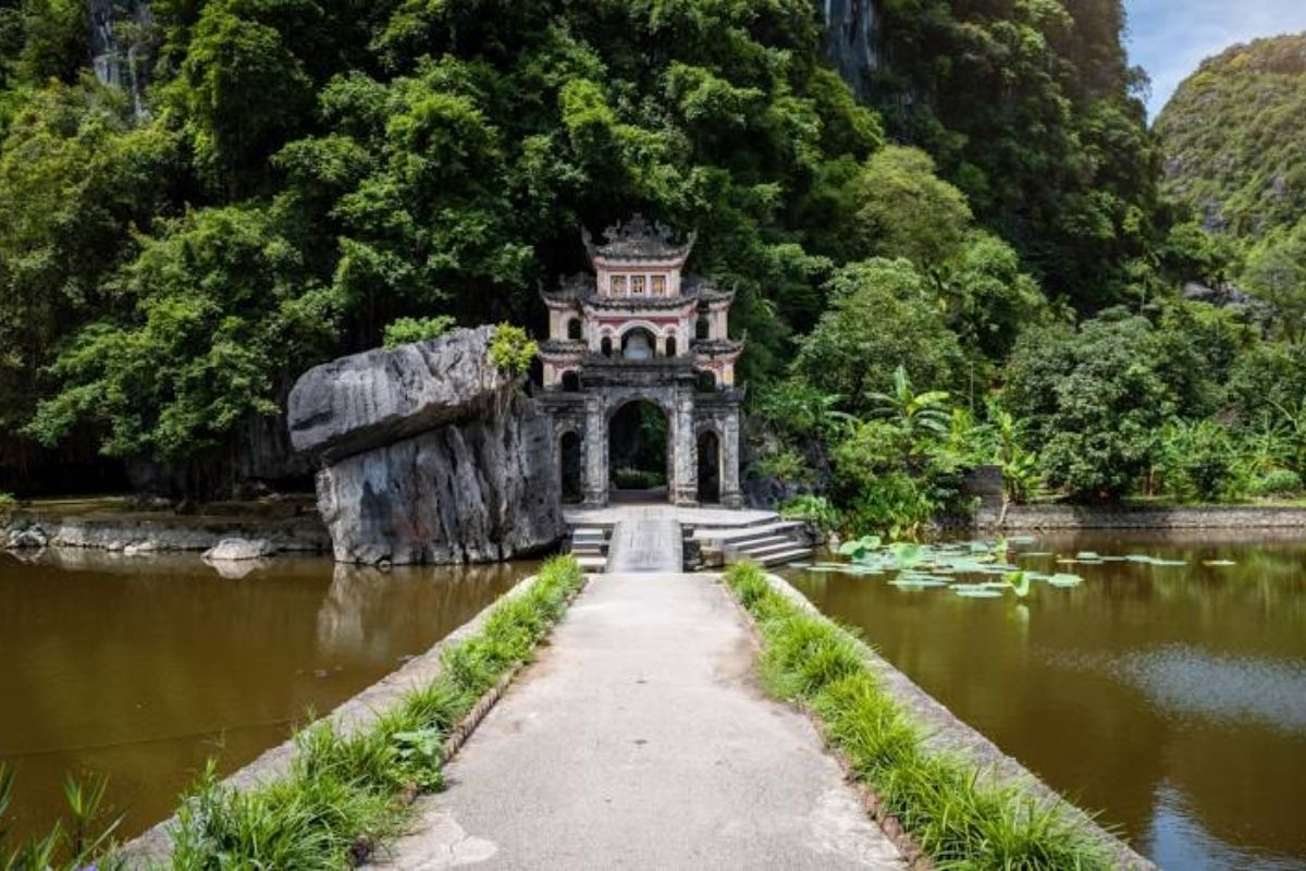 Embark on Ninh Binh Tours to discover Van Long Lagoon