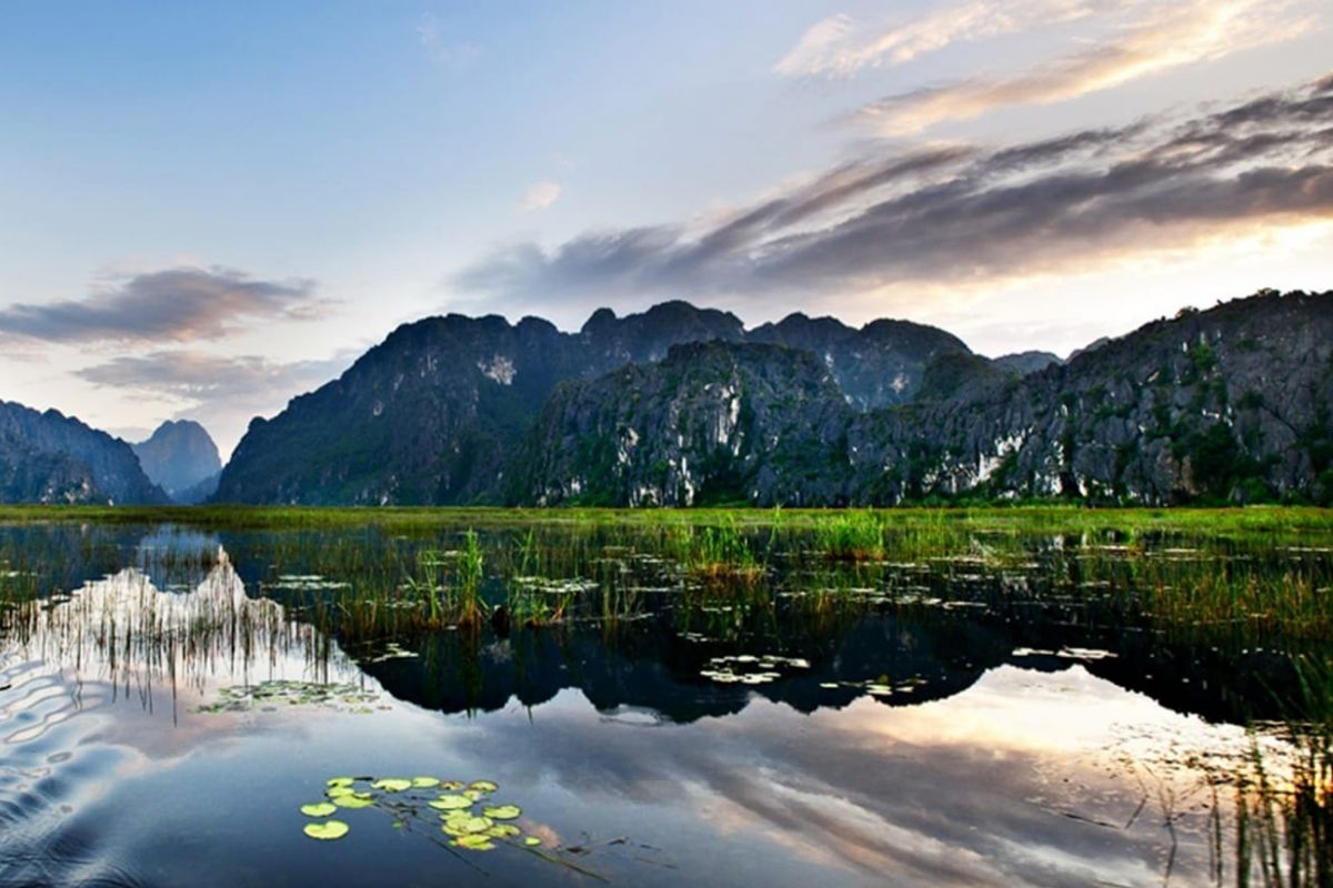 Ninh Binh Tours to discover Van Long Lagoon