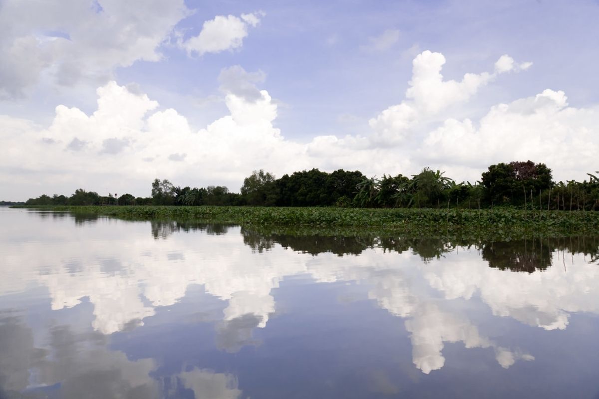 Experience the Mekong tour for gardening (My Tho)