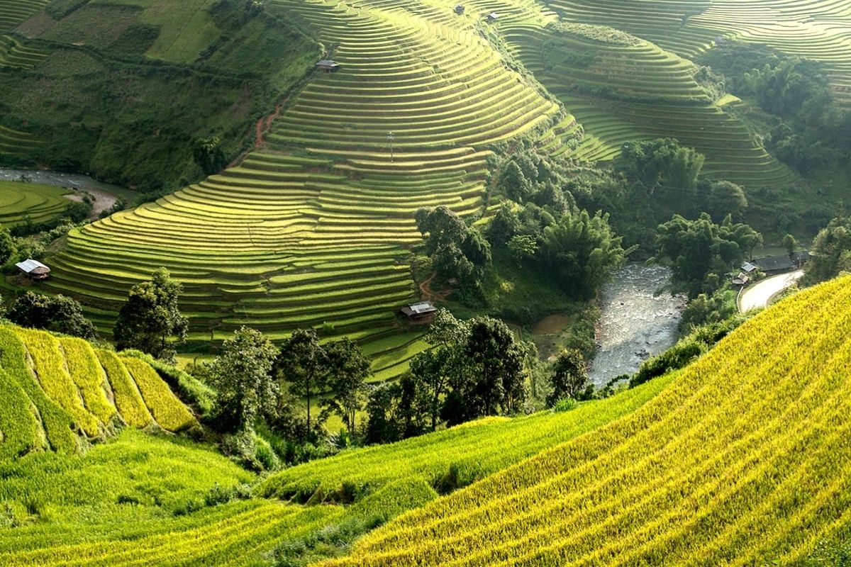 Distinctive Hue To Ha Giang Tour: 5 Days By Flight 