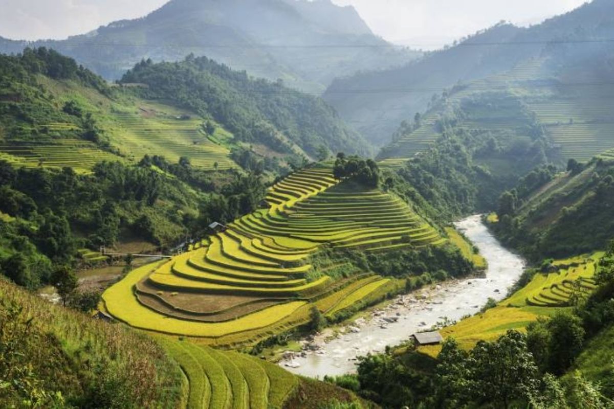 Enthralling Ban Phiet Market For Sapa Tours (3 Days)