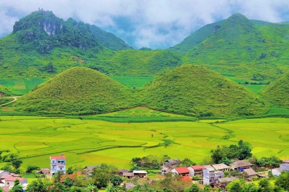 Embark on a 3-day Hoang Su Phi Ha Giang Tour