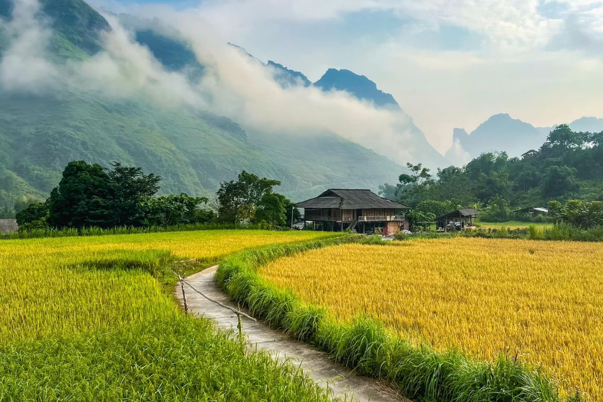  a 12-day Ho Chi Minh to Danang - Hanoi - Ha Giang tour,