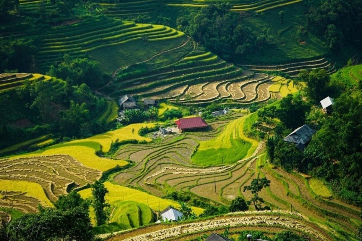 Explore breathtaking landscapes & vibrant culture with our 2-day Hoang Su Phi Ha Giang Tour