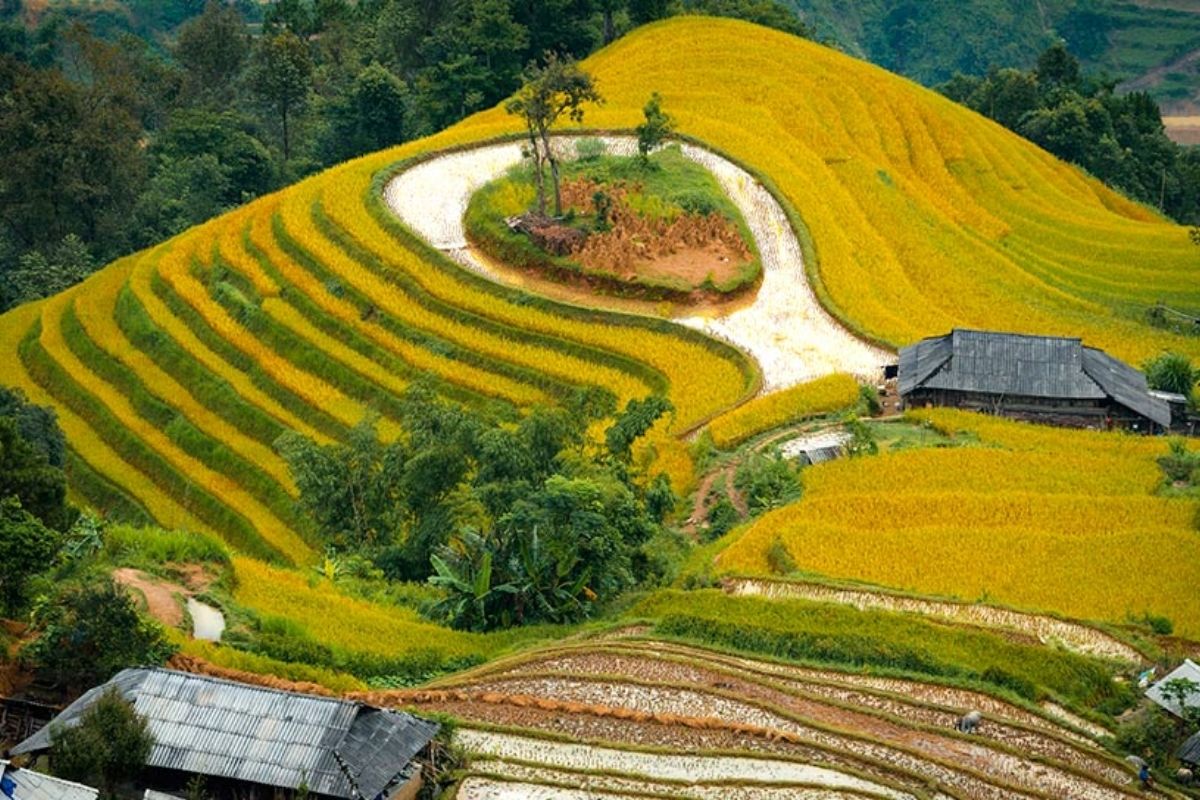 Embark on a thrilling Ha Giang Tour from HCM