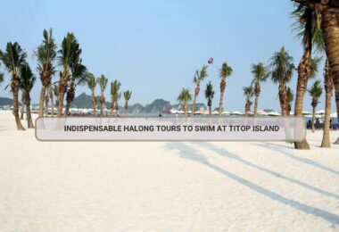 Indispensable Halong Tours To Swim At Titop Island