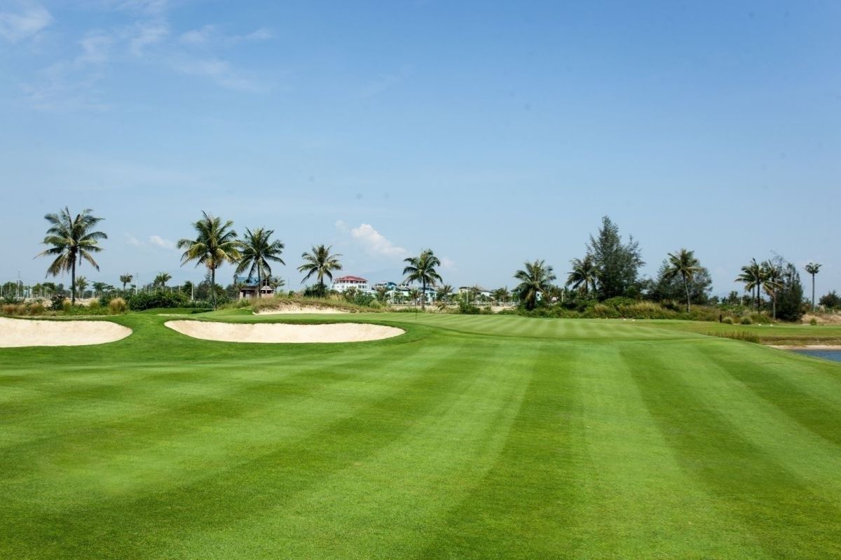 Montgomerie Links Is From 156$