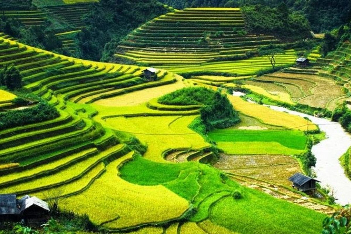 Explore the stunning terraced fields