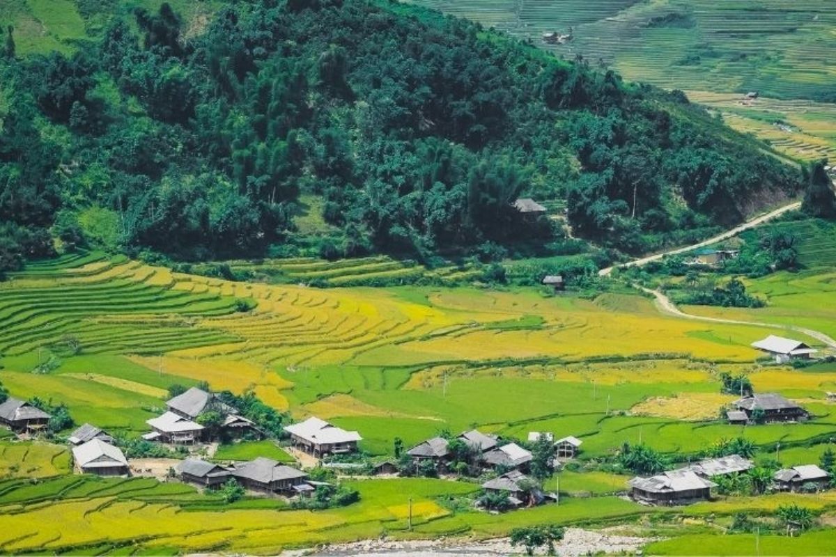  Mu Cang Chai Tours are Excellent by Motorbiking Sightseeing for true adventurers! 