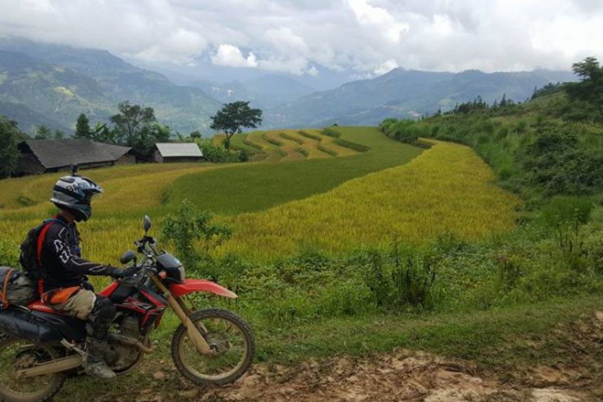 Explore the stunning terraced fields and vibrant culture of Northwest Vietnam